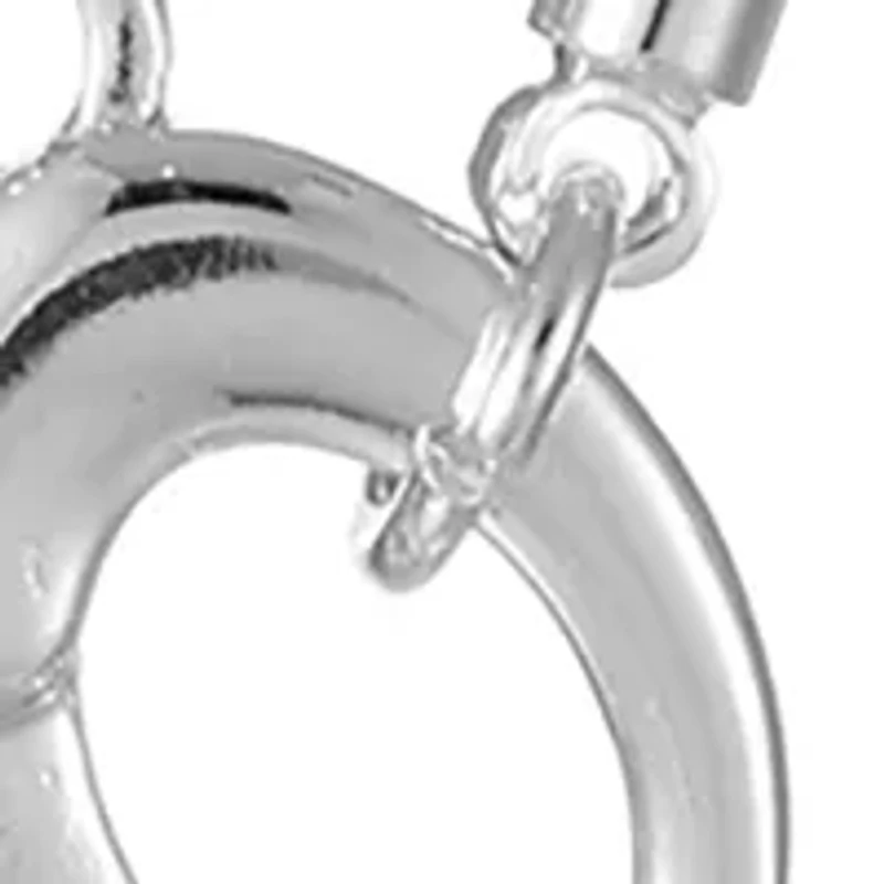 Silver Tone Carabiner Pet Themed Necklace with Interchangeable Charms Set