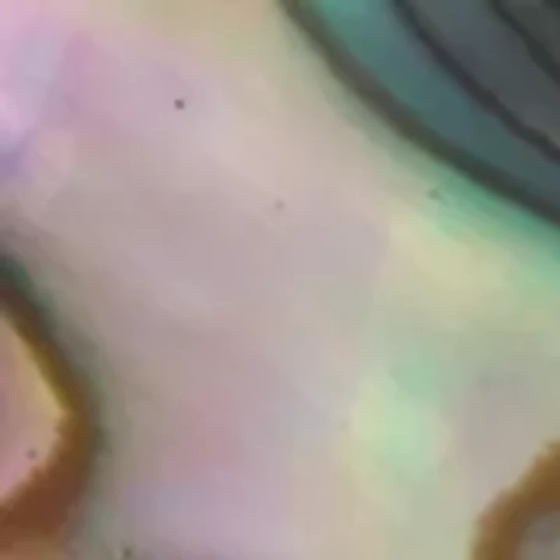 Gold Tone Abalone and CZ Flower Pin