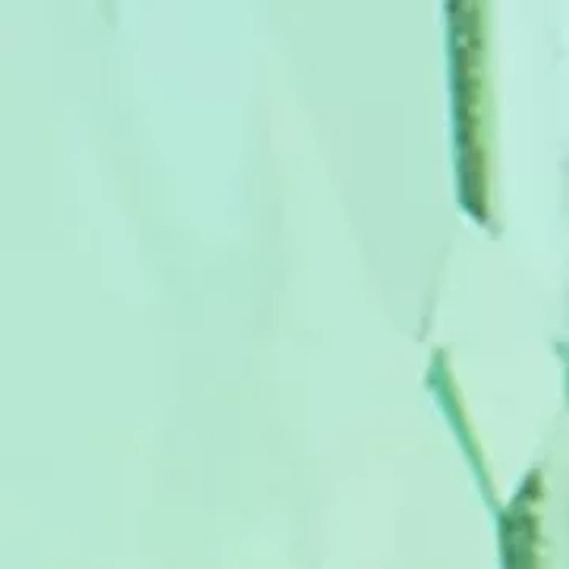 Lab Grown Gold Tone Green Erinite Elongated Cushion Ring with Pavé CZ Band