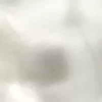 CZ Flower Double Pearl Drop Earrings