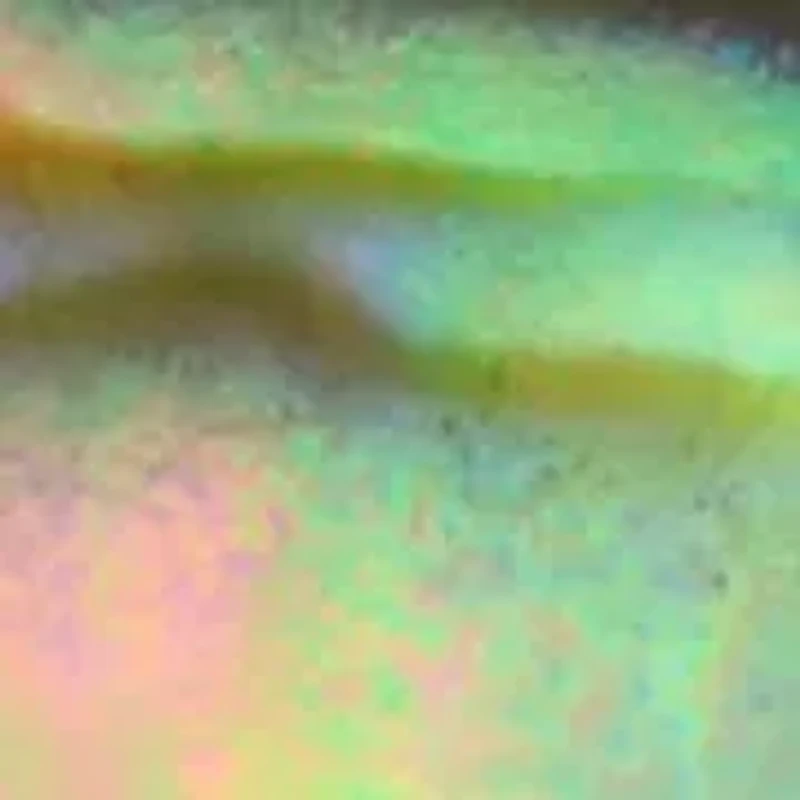 Round Abalone Halo Ring