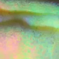 Round Abalone Halo Ring