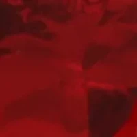 Cubic Zirconia Double Heart Ring