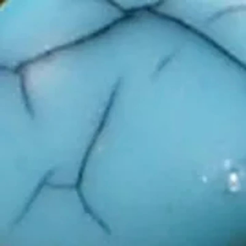 Lab Grown Gold Tone Multi Row Round Turquoise Open Ring