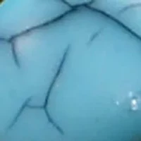 Lab Grown Gold Tone Multi Row Round Turquoise Open Ring