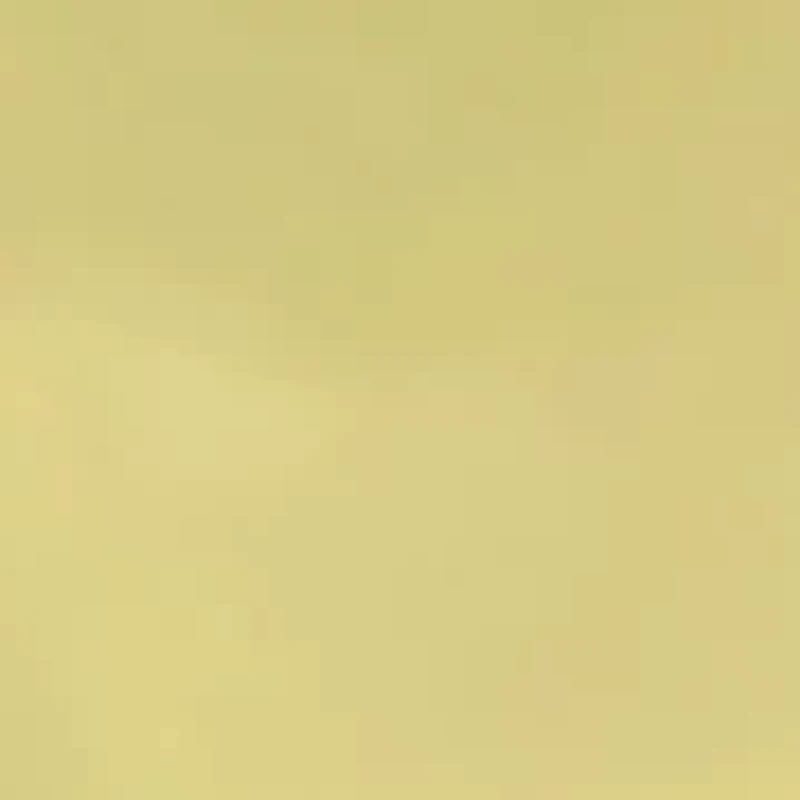 Gold Tone Heart Locket Necklace