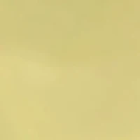 Gold Tone Heart Locket Necklace