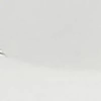 Sterling Silver Sculpted Hoop Earrings