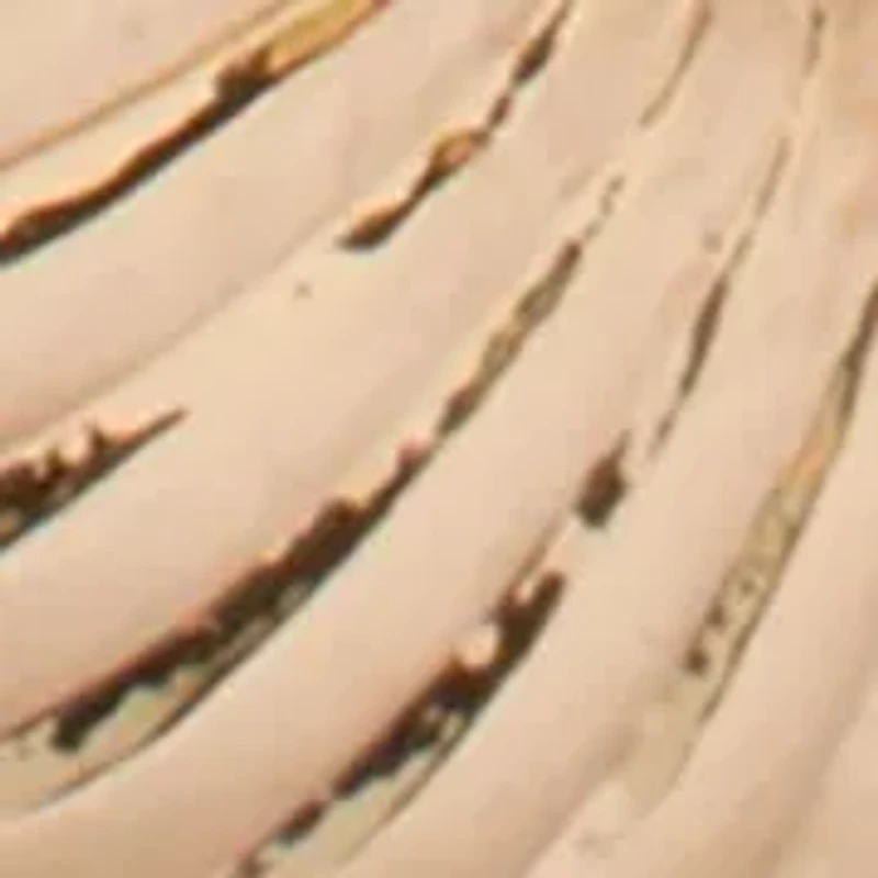 Fine Silver Plated Huggie Hoop Earrings