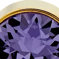 Ladies 18kt gold plated stainless steel stud earrings with February adorned swarovski crystals amethyst birthstone