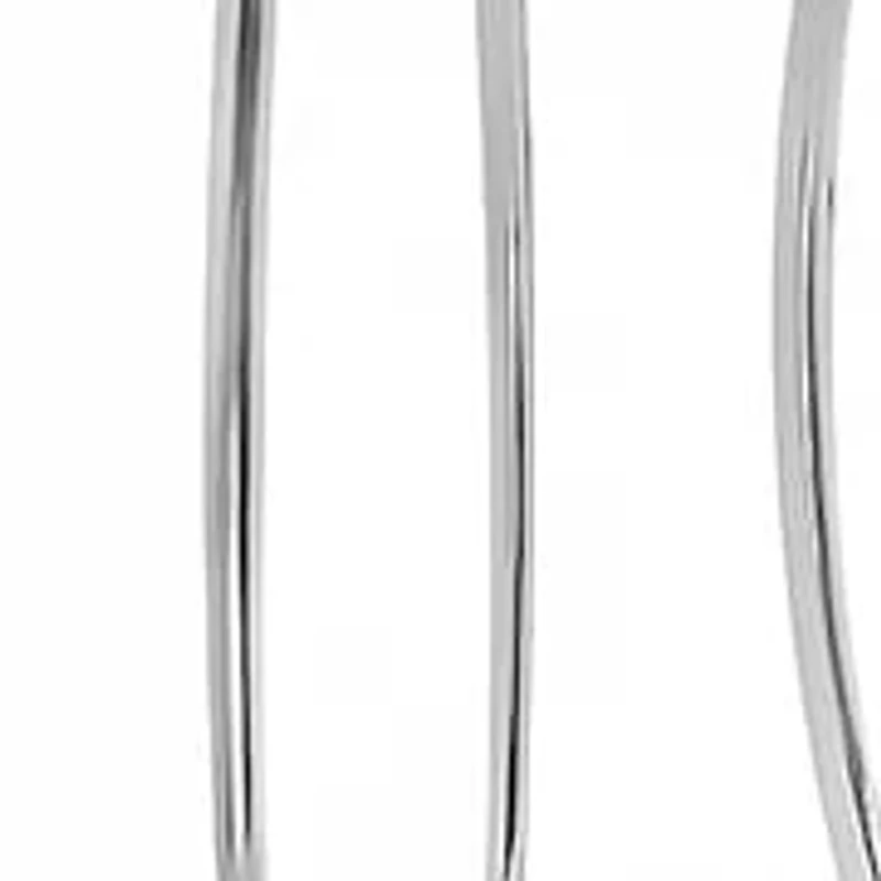 Ladies stainless steel hoop earrings