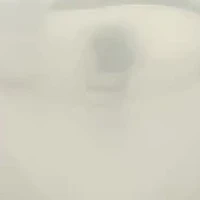 Ladies 18k gold plated stainless steel heart shell pearl pearl stud earrings