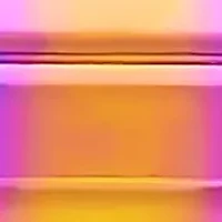 Ladies multi ip stainless steel thick hoop earrings