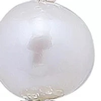 Sterling Silver Necklace and Earring Set