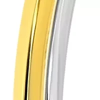 Two Tone Double Round Tubing Hoop Earrings