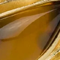 Gold Tone Stretch Link Bracelet