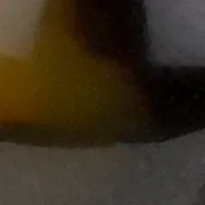 Gold Tone Clip On Button Earrings