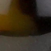 Gold Tone Clip On Button Earrings