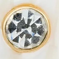 Seashell Drop Earrings