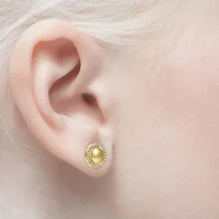 Lab Created 14K Gold Plated with Cubic Zirconia Eternity Halo Medallion Stud Earrings for Teens