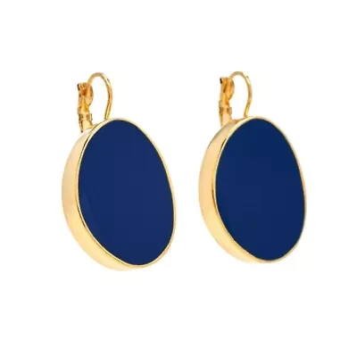 Kidney Euro-Wire Earrings