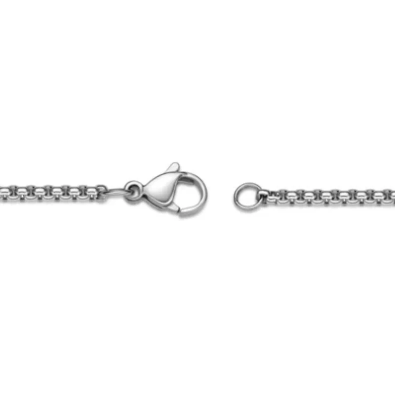 Stainless Steel Lion Pendant with Black Ion Plating