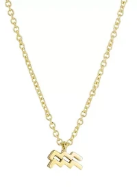 14k Gold Plated Zodiac Necklace