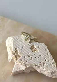 14k Gold Plated CZ Pave Initial Ring