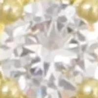 14k Gold Plated CZ Flower Outline Stud Earrings