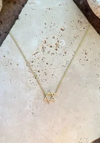 14k Gold Plated CZ Star of David Necklace