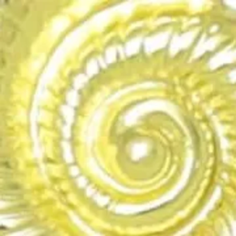 Gold Plated Shell on a Chord Necklace