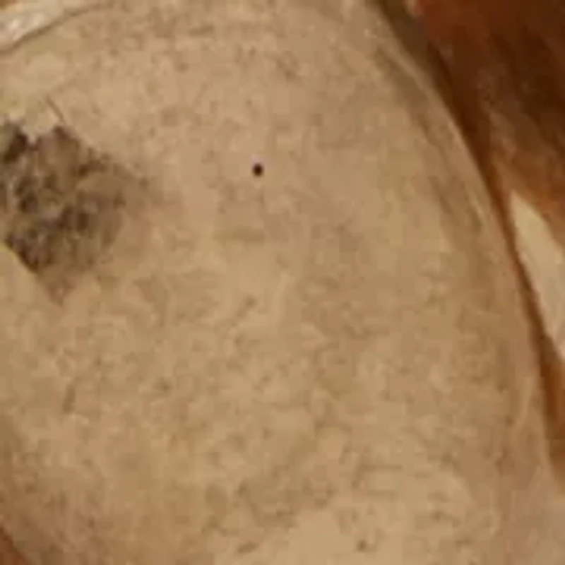  Cowboy Hat Charm Stretch Bracelet