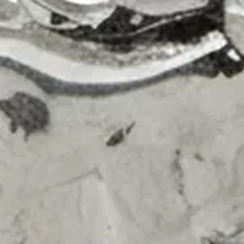 Horse Charm Stretch Bracelet