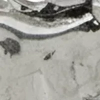 Horse Charm Stretch Bracelet