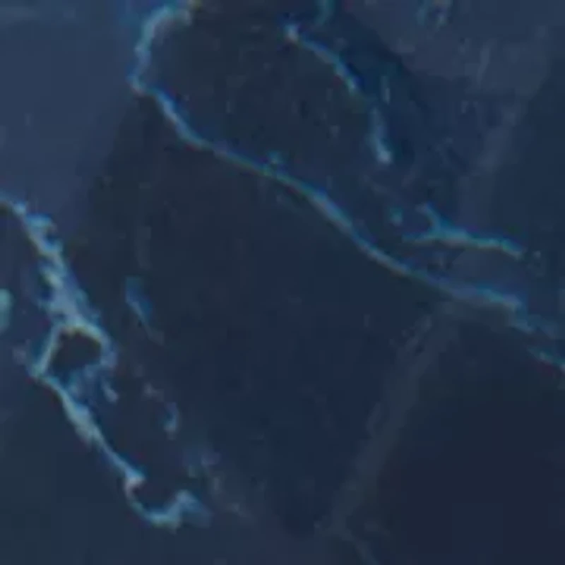 Beaded Horseshoe Earrings