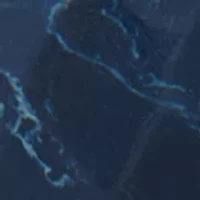 Beaded Horseshoe Earrings