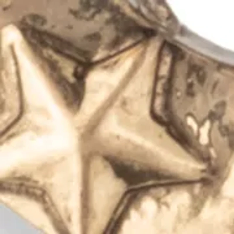 Horseshoe Drop Earrings