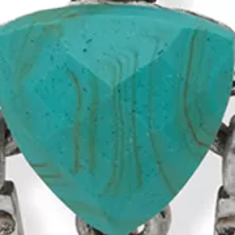 Western Stud Earring Set