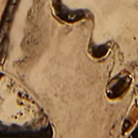 Engraved Hoop Earrings