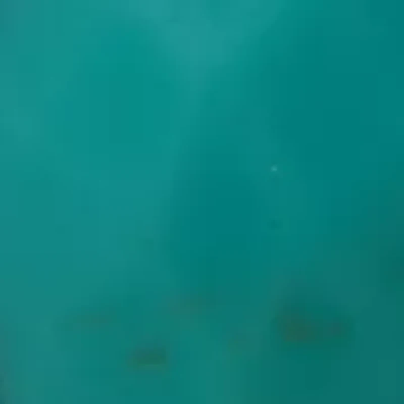  Turquoise Stone Linear Earrings