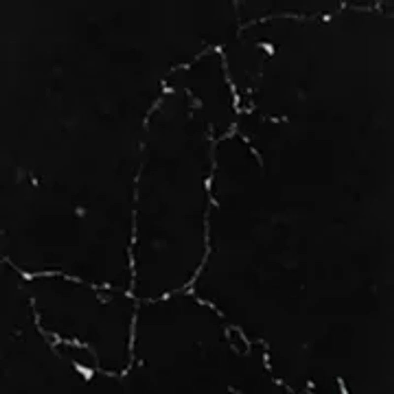 Stone Tassel Pendant Necklace