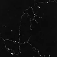 Stone Tassel Pendant Necklace