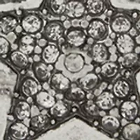 Silver Tone Multi Set of Pins