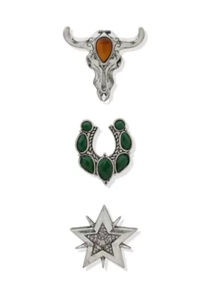 Silver Tone Multi Set of Pins