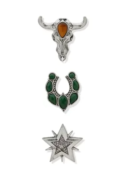 Silver Tone Multi Set of Pins