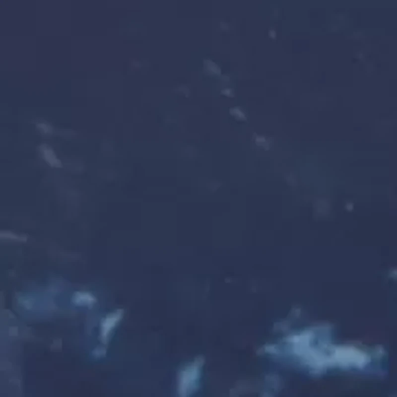 Pavé Star Stone Ring