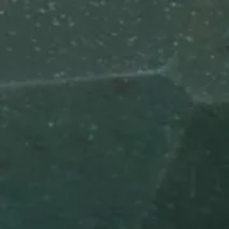 Horseshoe Stone Ring