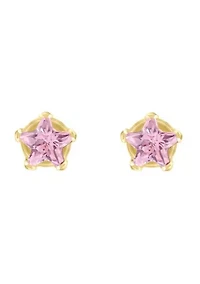 14K Yellow Gold 3mm Star Pink Cubic Zirconia Stud Earrings