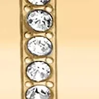 DKNY Women's Half Bangle Champagne Dial Gold-Tone Stainless Steel Watch 28mm