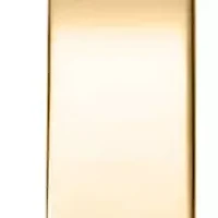 DKNY Women's Half Bangle Champagne Dial Gold-Tone Stainless Steel Watch 26mm